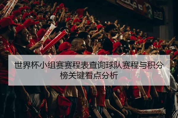 世界杯小组赛赛程表查询球队赛程与积分榜关键看点分析